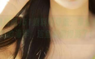 51爆料网导航：带你穿越八卦的海洋，连鱼都懒得游了！
