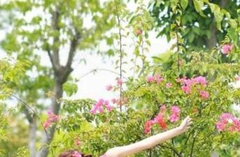 永久黑料大曝光，吃瓜网热搜感受到了吗？
