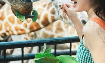 黑料不打样，入口有点意思，心情瞬间变得复杂