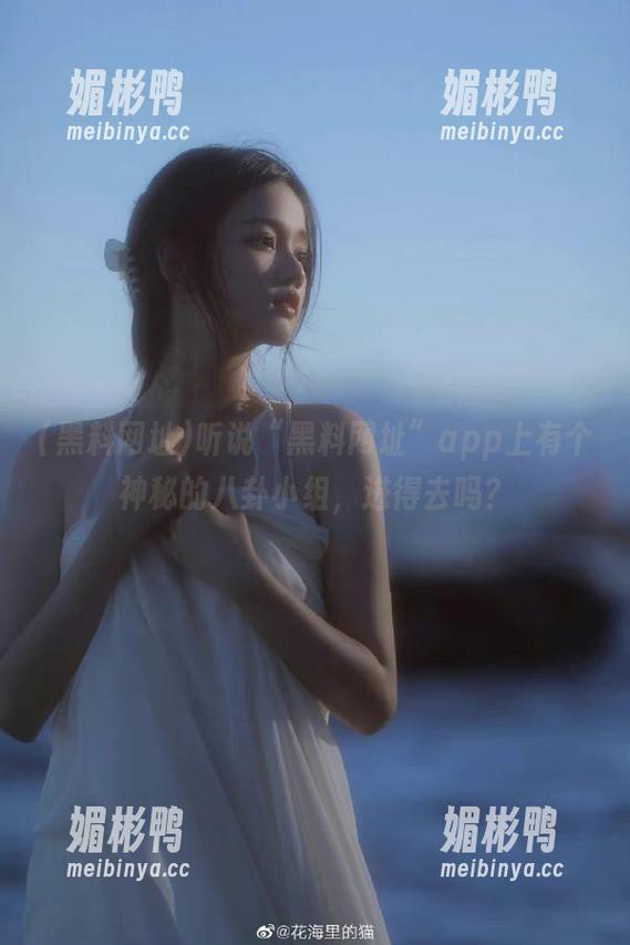 黑料网址 听说“黑料网址”app上有个神秘的八卦小组,进得去吗?